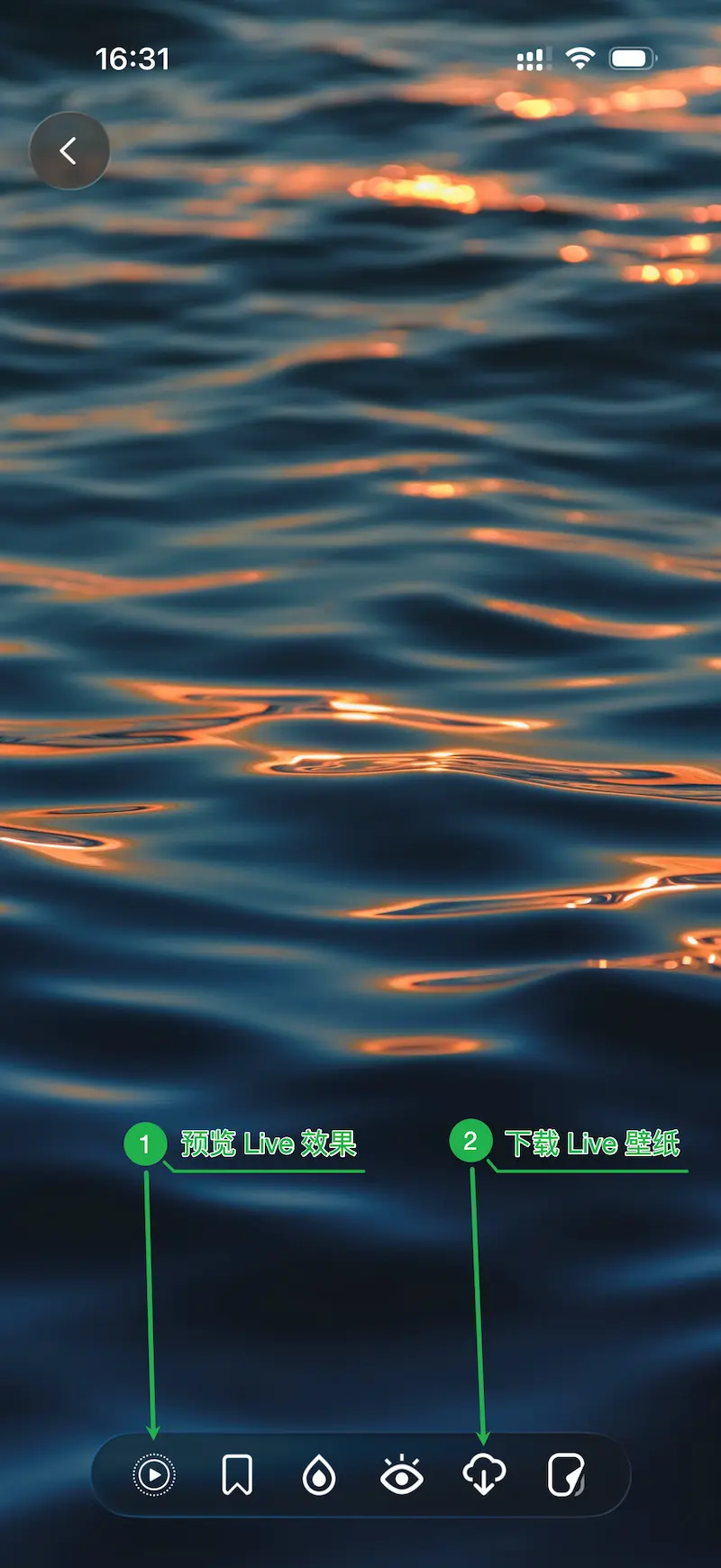 Cuto Live Wallpaper Download